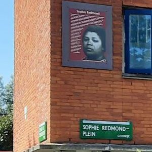 Onthulling paneel Sophie Redmondplein